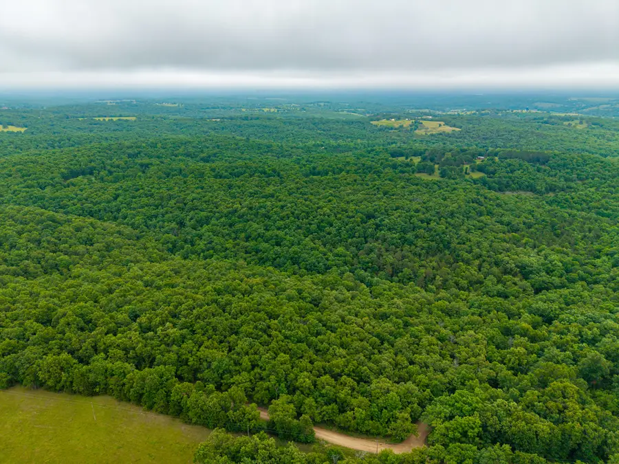 000 Co Rd 519 #Tract 1, Hardenville, MO 65666 - #2