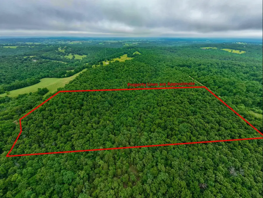 000 Co Rd 519 #Tract 1, Hardenville, MO 65666 - #3