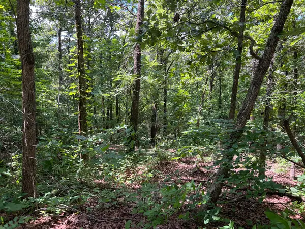 000 Pr Off Ridge Haven, Mammoth Spring, AR 72554