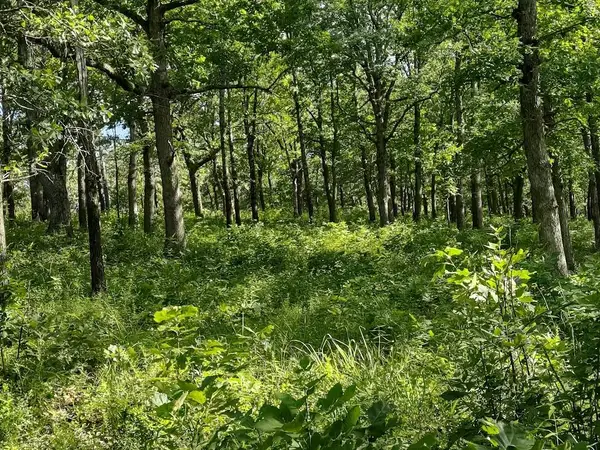 36501 Mohave Drive, Eldridge, MO 65463