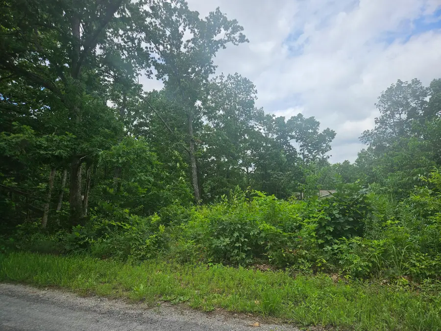 000 Woodruff Street, Mountain View, MO 65548 - #2