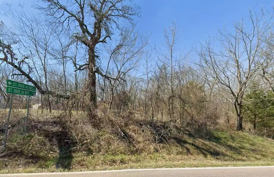 000 Lot 1 State Highway Ff, Fordland, MO 65652 - #3