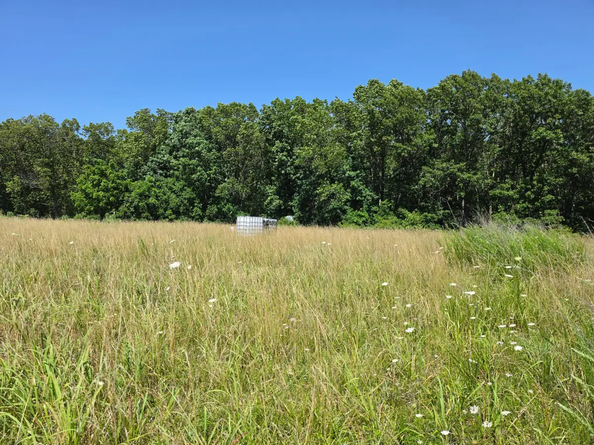 404 State Highway Kk, Fordland, MO 65652 - #1