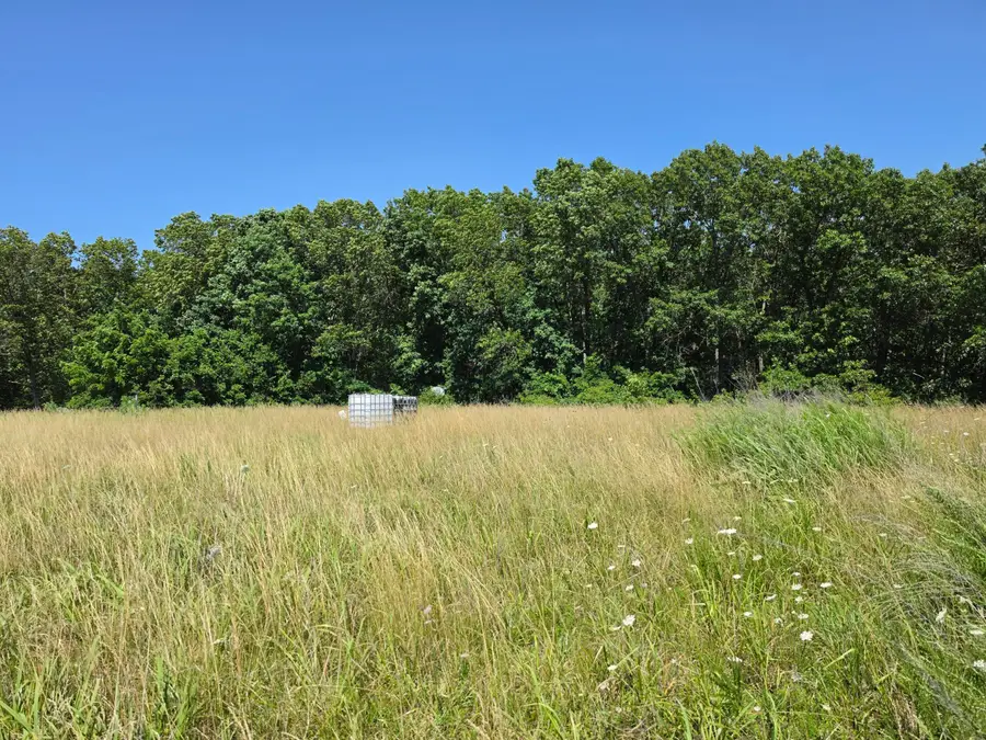 404 State Highway Kk, Fordland, MO 65652 - #2