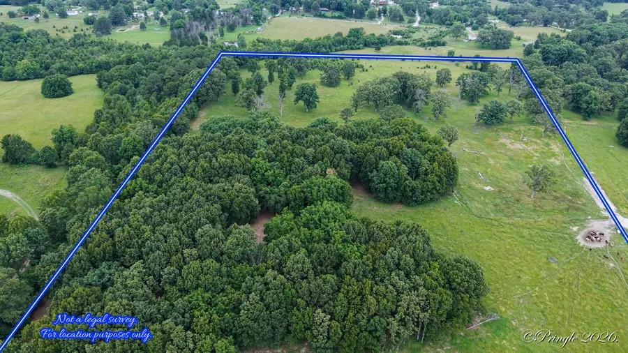 6504 County Road 8800, West Plains, MO 65775 - #2