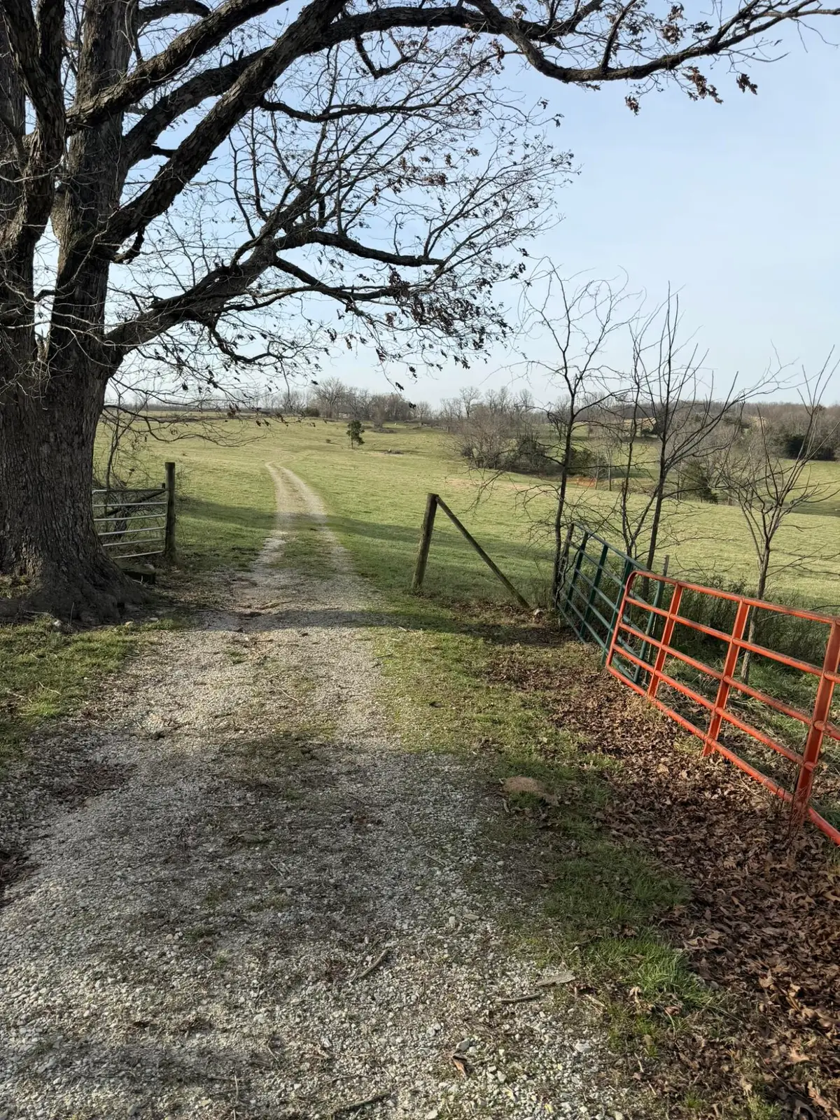 14658 County Road 7430, Caulfield, MO 65626 - #1