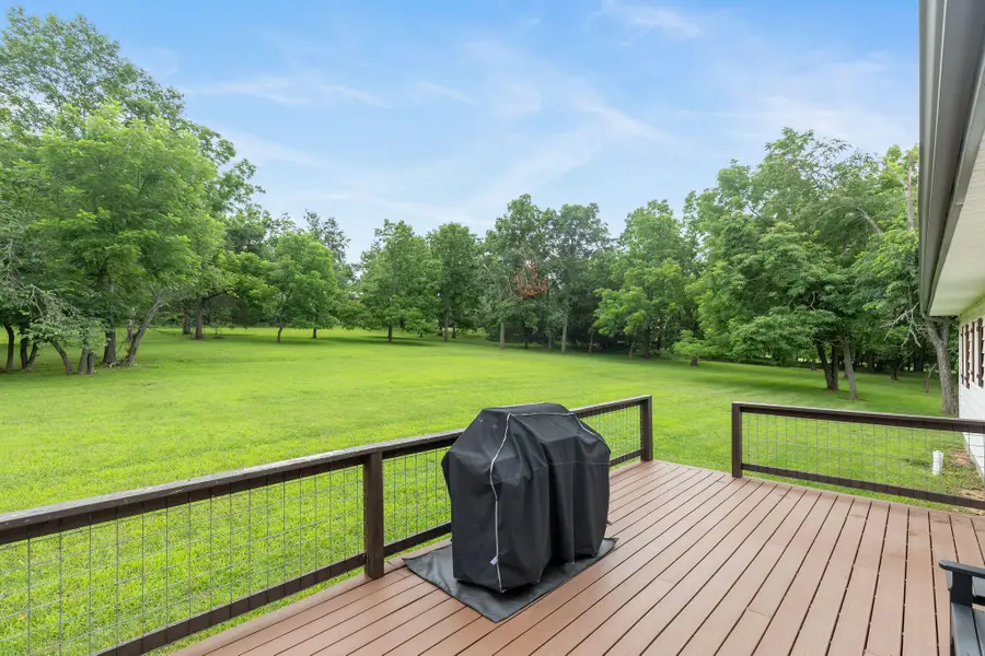 702 Shadrack Road, Cape Fair, MO 65624 - #3