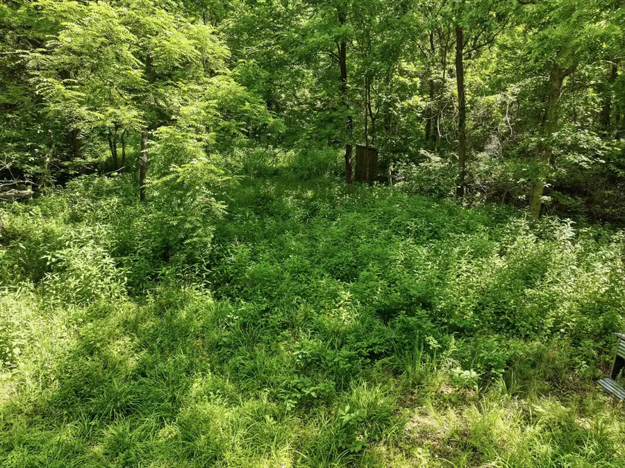 000 Barn Hollow Drive, Mountain View, MO 65548 - #2