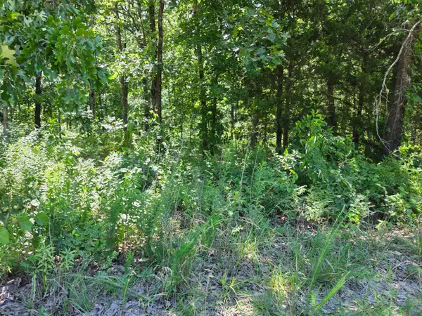 000 Hidden Pond Drive #36, Fordland, MO 65652