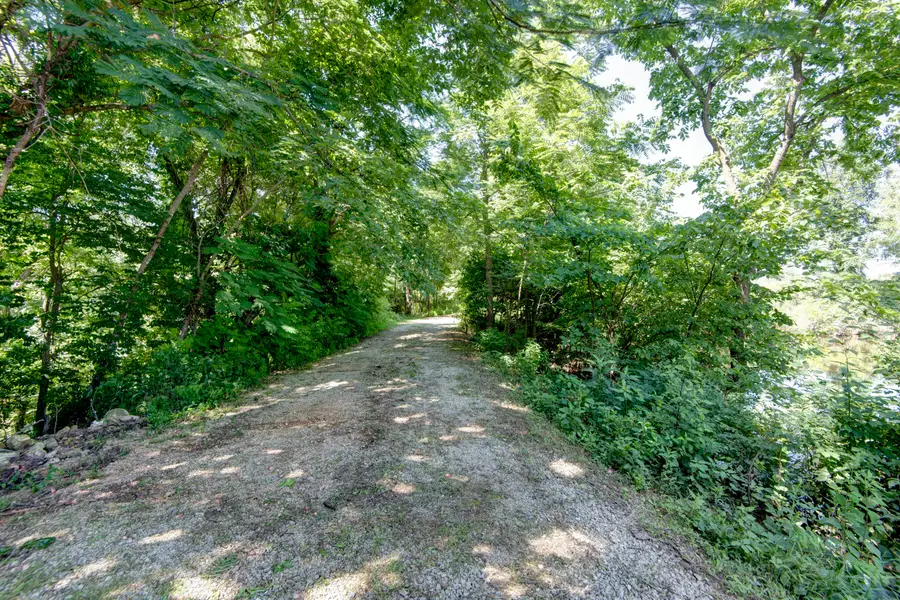 2210 Diggins Road, Seymour, MO 65746 - #3