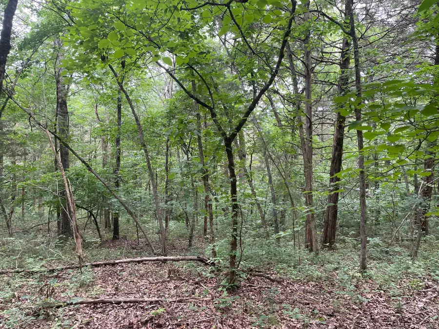 2980 County Road 855, Thornfield, MO 65762 - #3