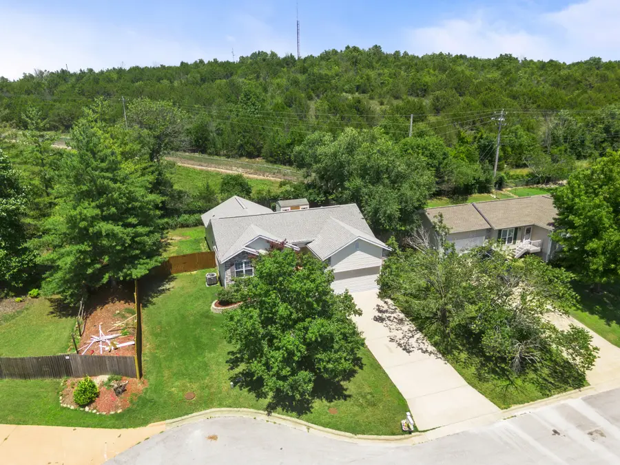 166 Teresa Terrace, Branson, MO 65616 - #3