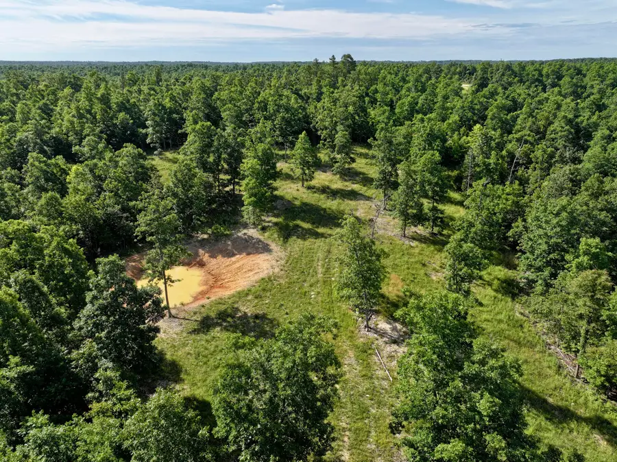 000 County Road Ff-459, Birch Tree, MO 65438 - #2