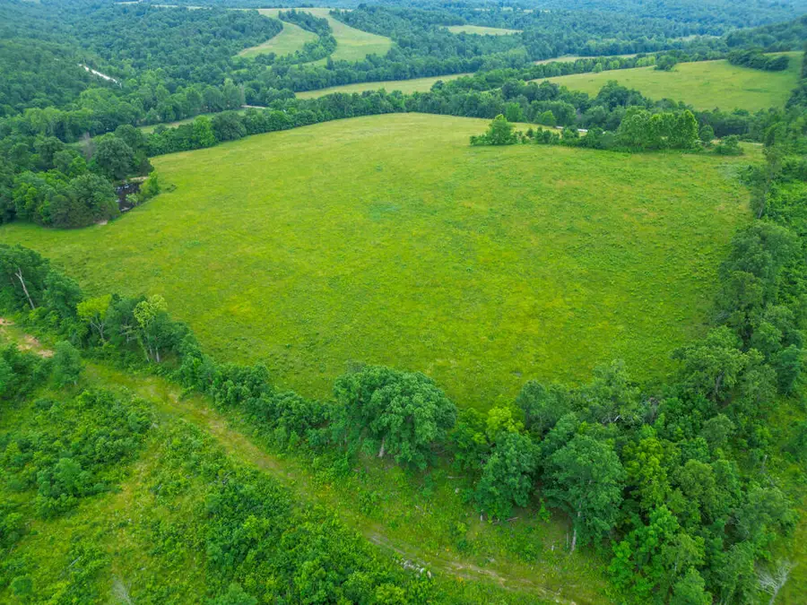 258 State Road Yy, Tunas, MO 65764 - #3