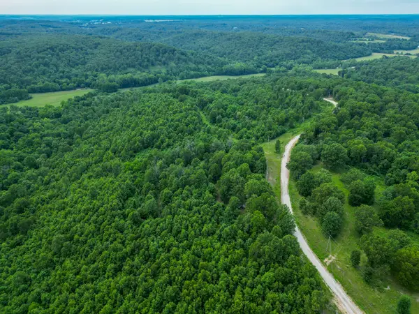 000 White Oak Road, Tunas, MO 65764