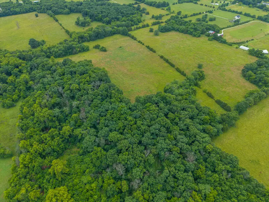 13 State Highway 32, Stockton, MO 65785 - #2