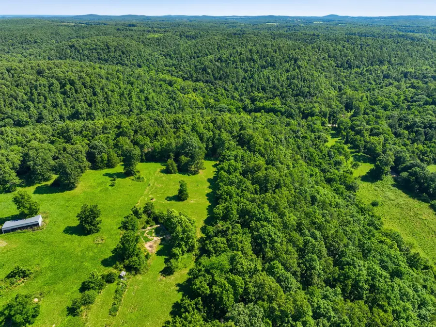 000 County Road 178-a, Dora, MO 65637 - #3