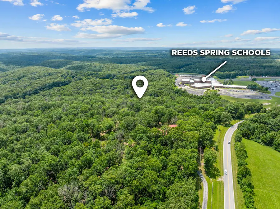 000 Missouri State Highway 413, Reeds Spring, MO 65737 - #3