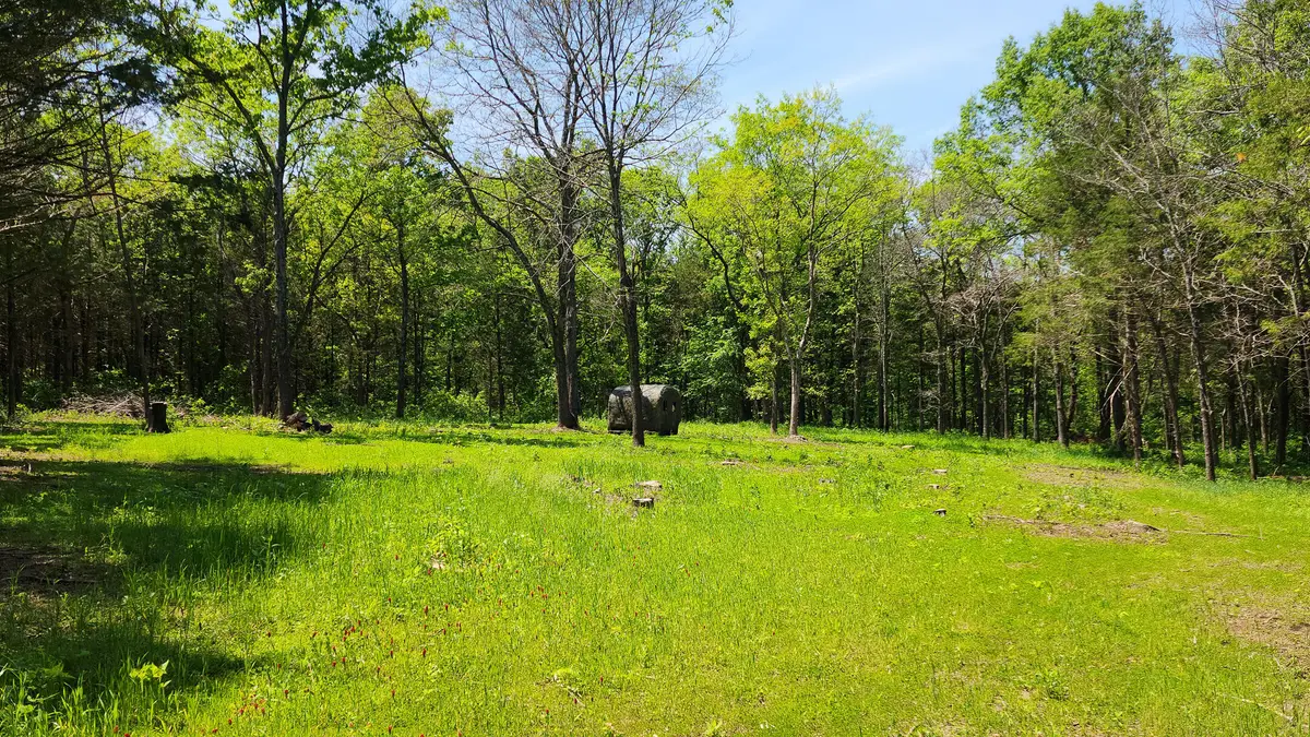 000 County Road 333, Polk, MO 65727 - #1