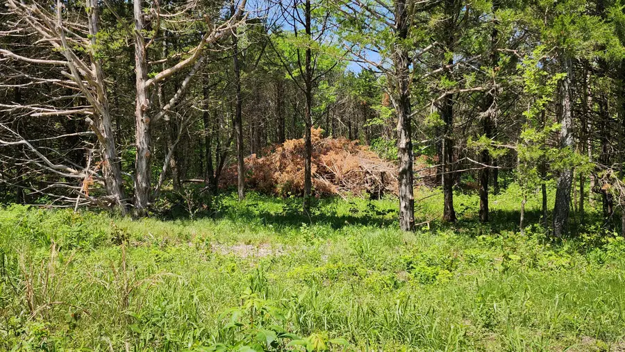 000 County Road 333, Polk, MO 65727 - #2