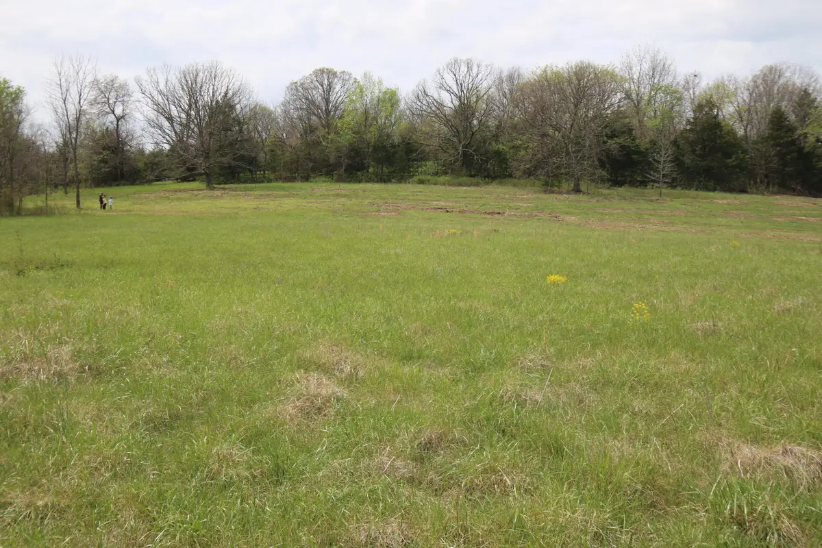 000 River Pass Drive Drive #Lot 6 & 11, Marshfield, MO 65706 - #1