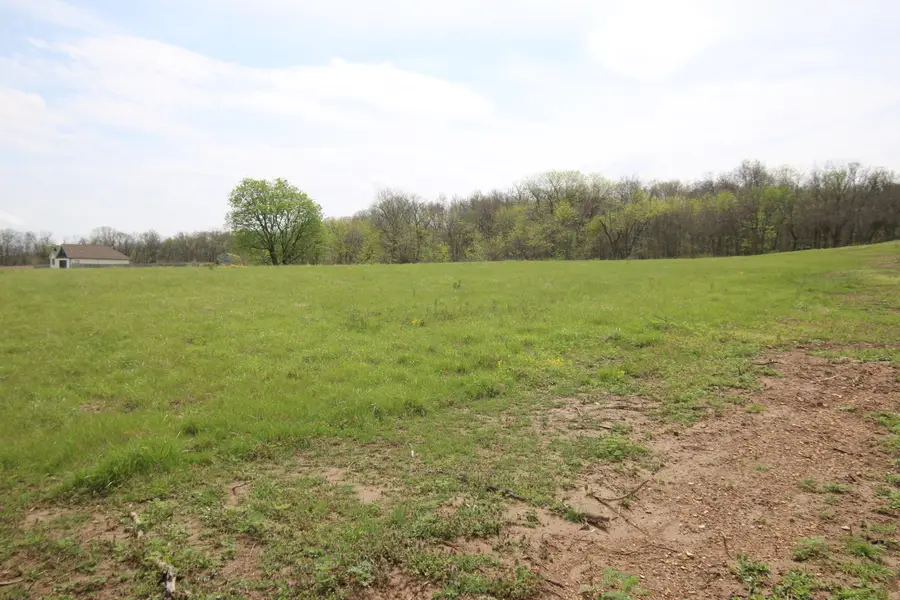000 River Pass Drive Drive #Lot 6 & 11, Marshfield, MO 65706 - #2