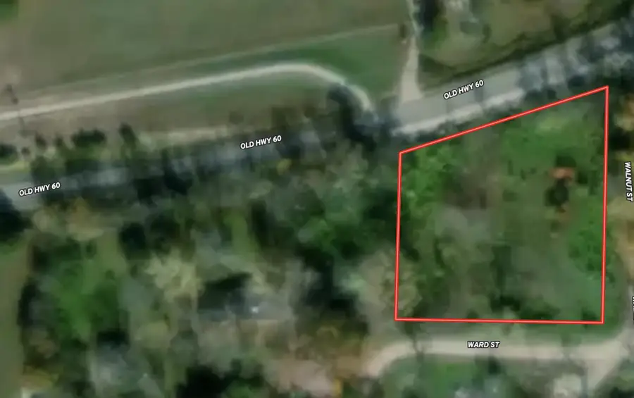000 Ward Street, Birch Tree, MO 65438 - #2