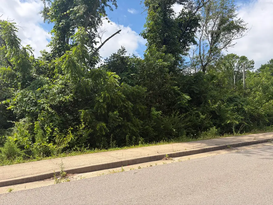 000 Ward Street, Birch Tree, MO 65438 - #3