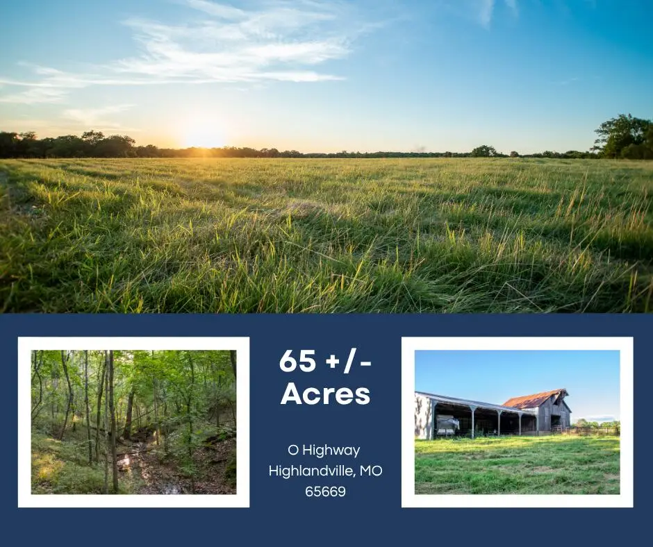 000 State Highway O, Highlandville, MO 65669 - #1