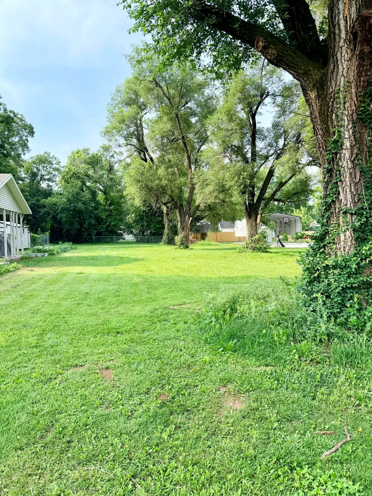 000w Mc Pherson Street, Greenfield, MO 65661 - #1