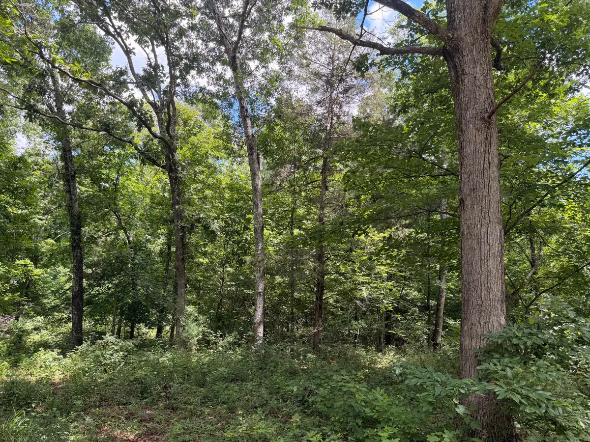 000 Forest Service Road, Birch Tree, MO 65438 - #1