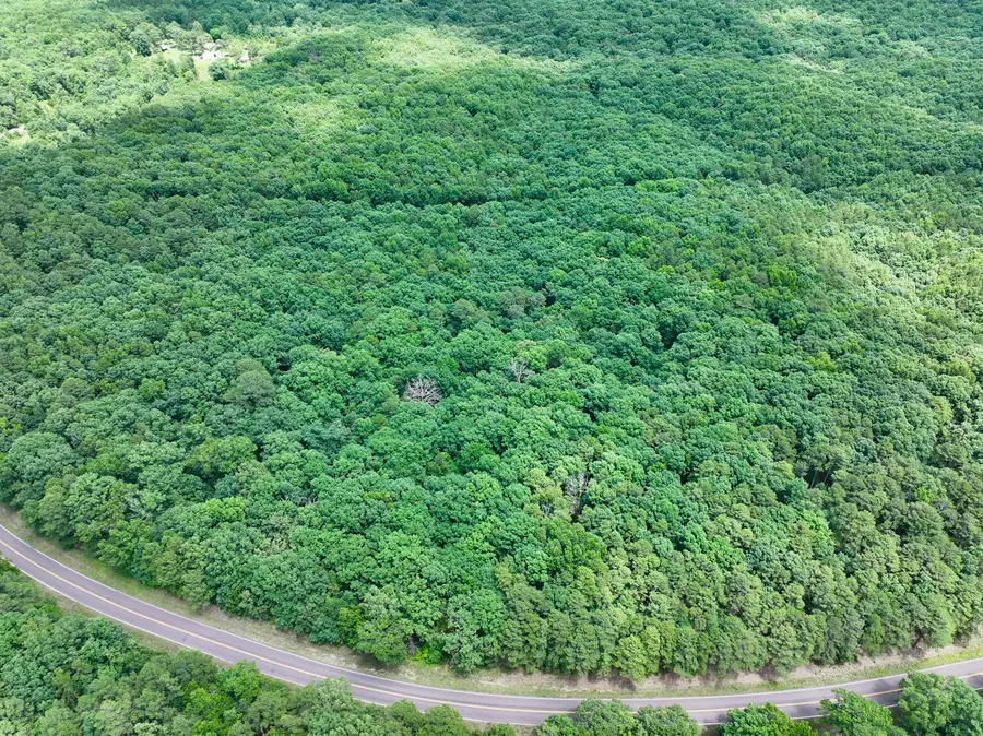 000 Forest Service Road, Birch Tree, MO 65438 - #3