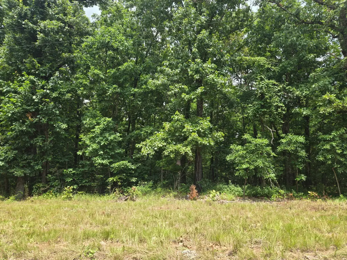 001 Muleshoe Trail, Elkland, MO 65644 - #1