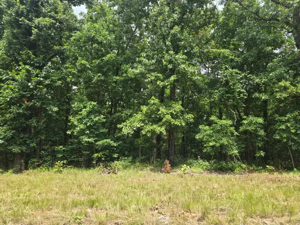 001 Muleshoe Trail, Elkland, MO 65644