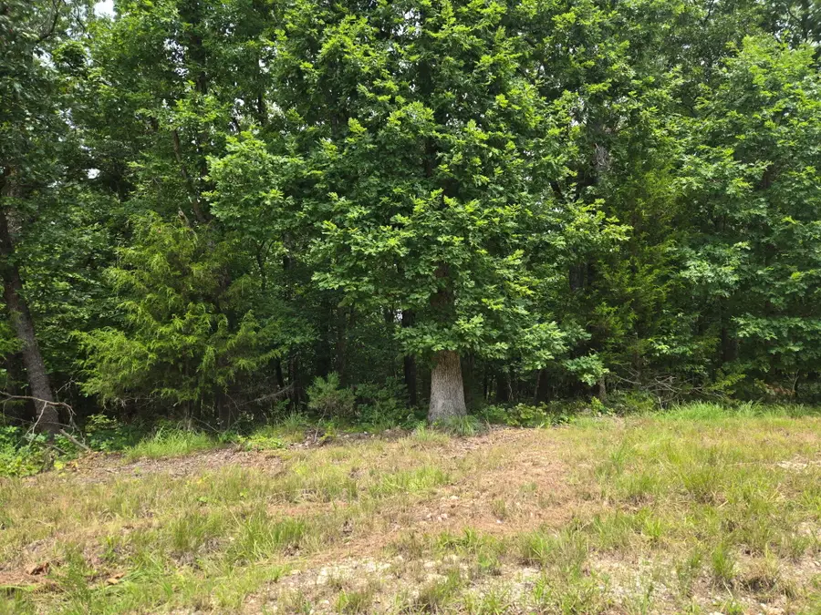 001 Muleshoe Trail, Elkland, MO 65644 - #3