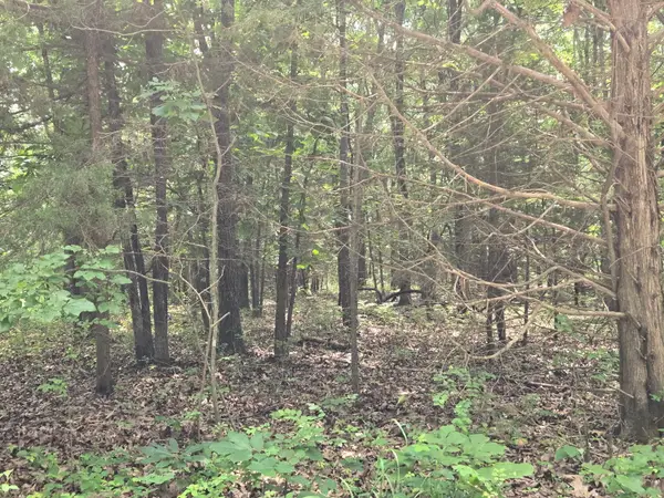 002 Muleshoe Trail #002, Elkland, MO 65644