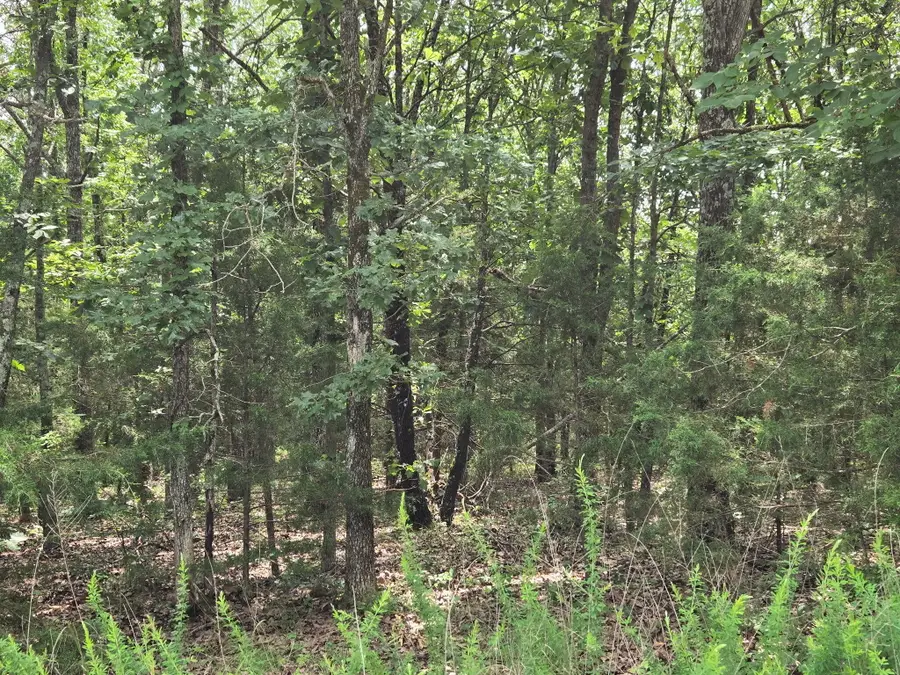 002 Muleshoe Trail #002, Elkland, MO 65644 - #3
