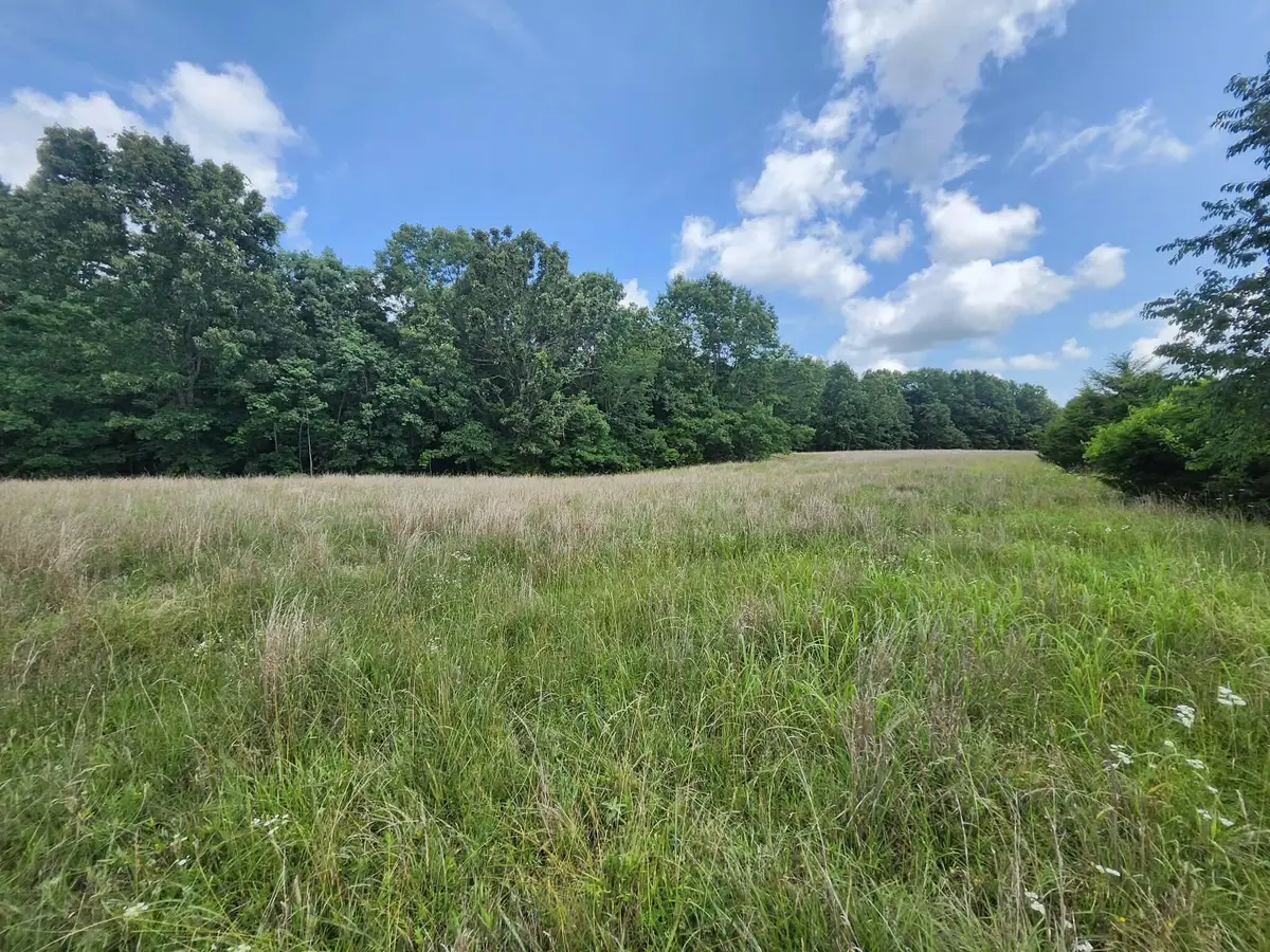 Tbd Blackberry Drive, Summersville, MO 65571 - #1