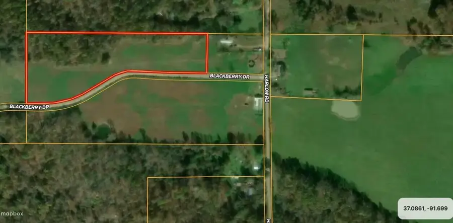 Tbd Blackberry Drive, Summersville, MO 65571 - #2