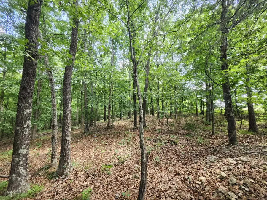 Tbd Blackberry Drive, Summersville, MO 65571 - #3