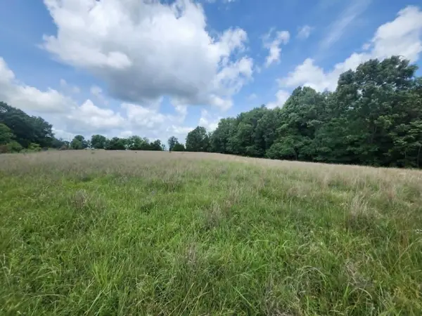 C-Tbd Blackberry Drive, Summersville, MO 65571