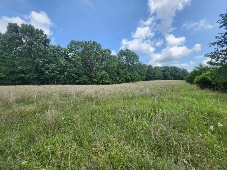 C-Tbd Blackberry Drive, Summersville, MO 65571 - #2
