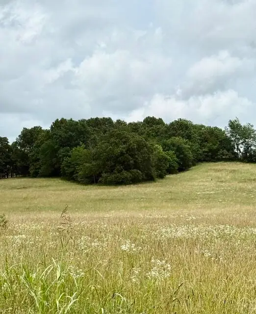 10.2 Acres Stewerd Drive, Fordland, MO 65652 - #1