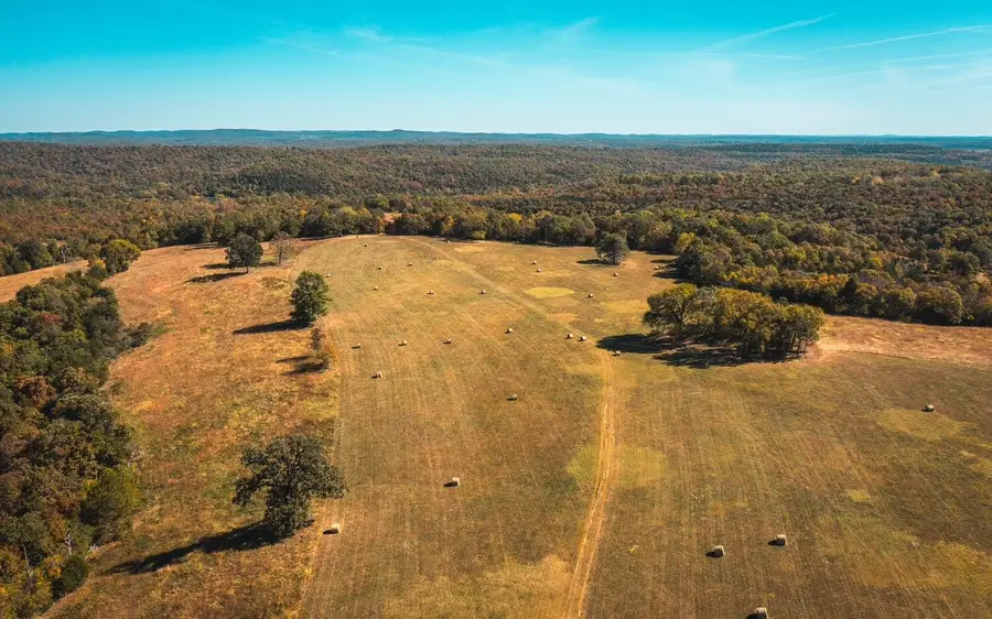 000 Gunnison Road, Kirbyville, MO 65679 - #3