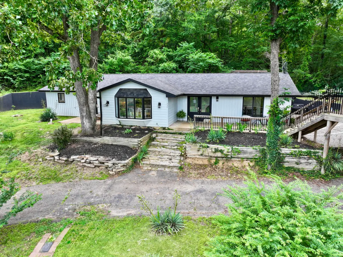 339 Carter 127, Van Buren, MO 63965 - #1