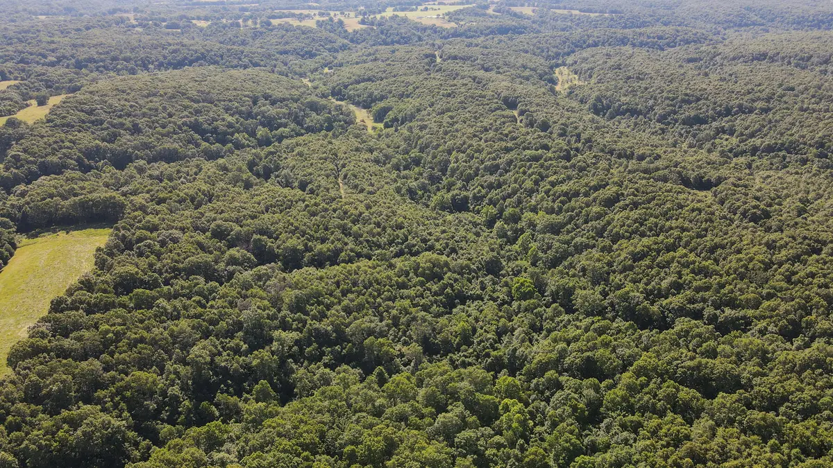 000 Private Drive Off Of Fr 1245, Aurora, MO 65605 - #1