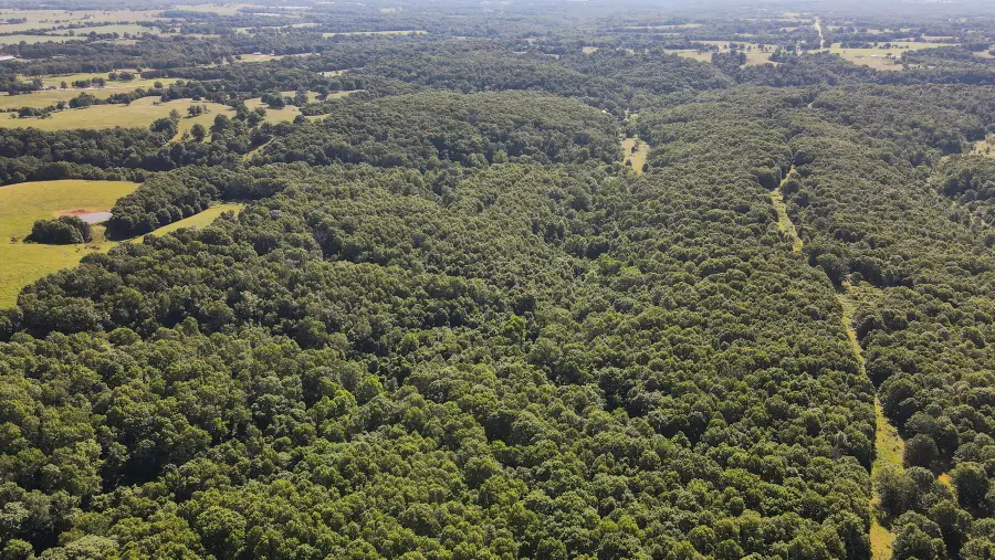000 Private Drive Off Of Fr 1245, Aurora, MO 65605 - #3