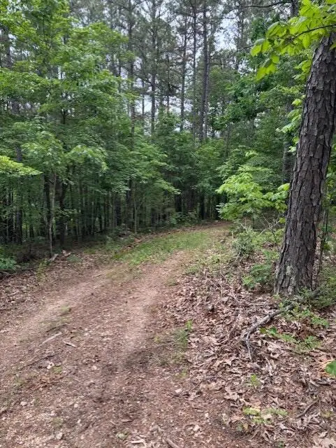 Tbd County Road 272, Vanzant, MO 65768 - #3
