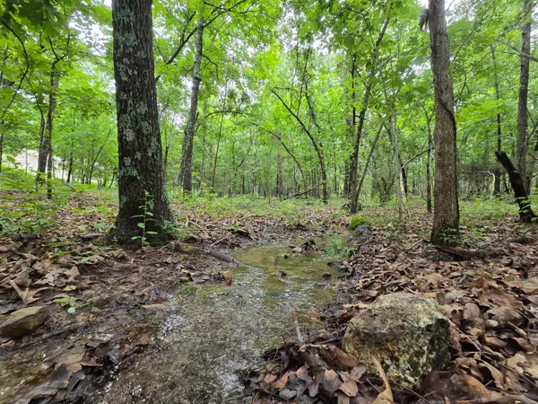 000 Golf Course Road, Marshfield, MO 65706