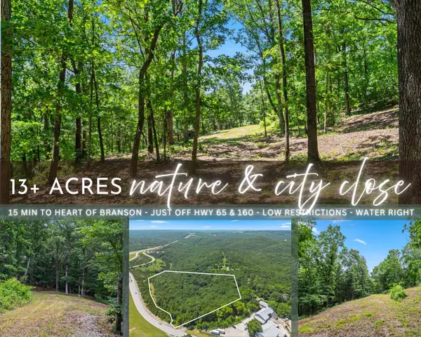 Tbd Deer Mountain Road, Walnut Shade, MO 65771